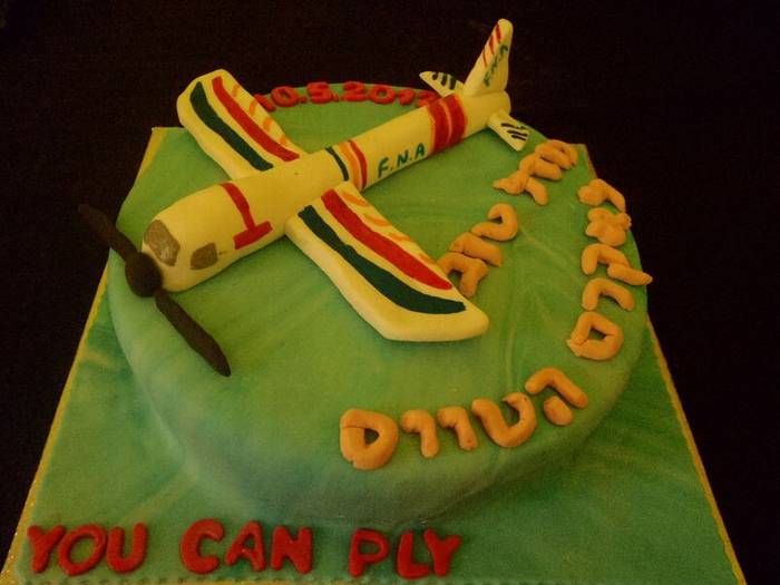 עוגה ליום הולדת מפוסלת של אווירון  מטוס